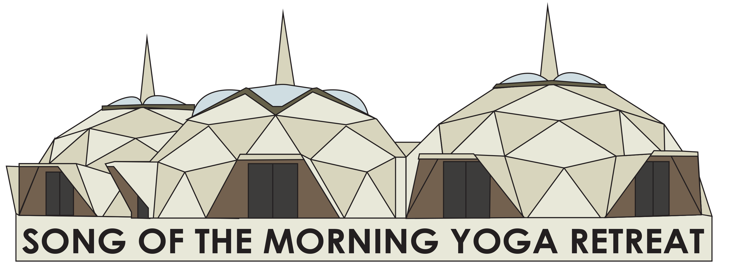 Design of the Domes for pin